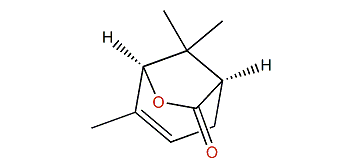 (1R,5S)-4,8,8-Trimethyl-6-oxabicyclo[3.2.1]oct-3-en-7-one